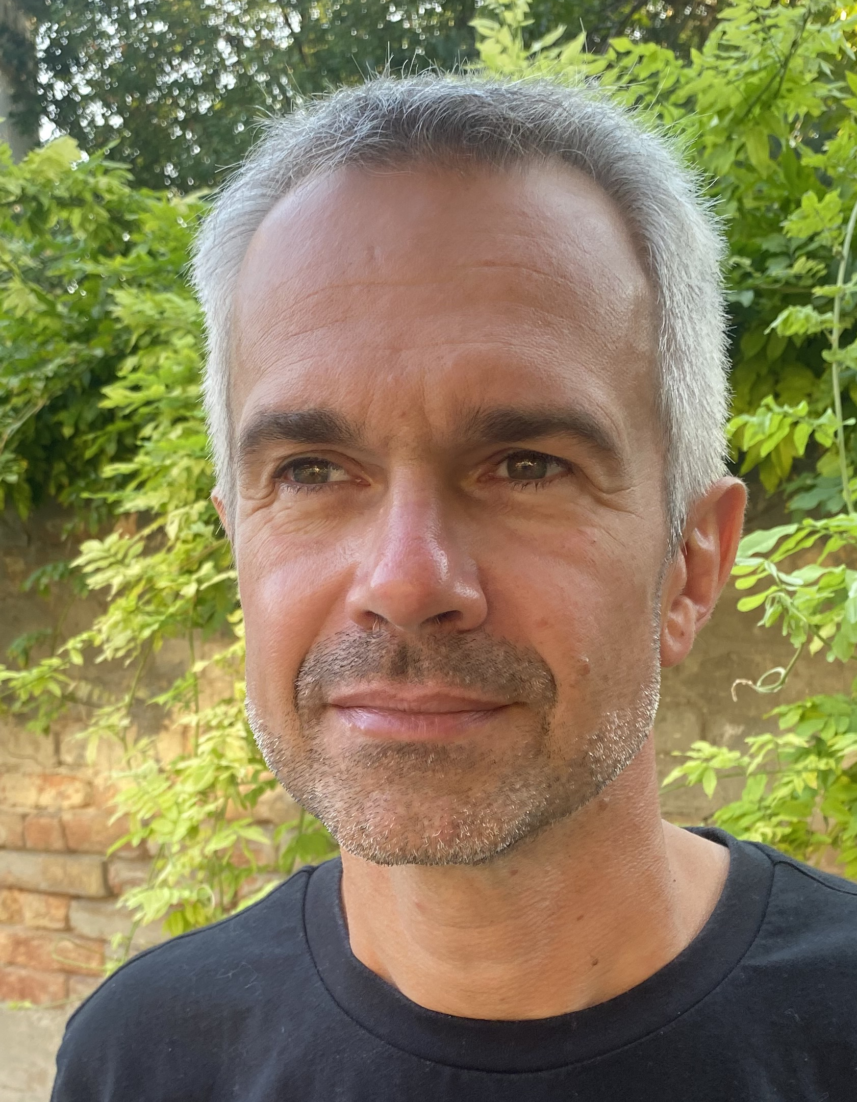 Dr. habil. Ollé János