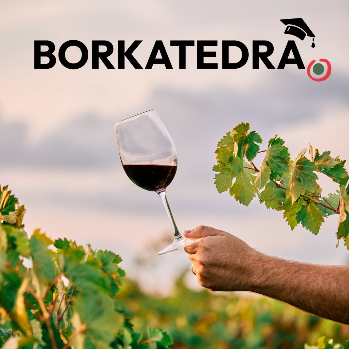 borkatedra